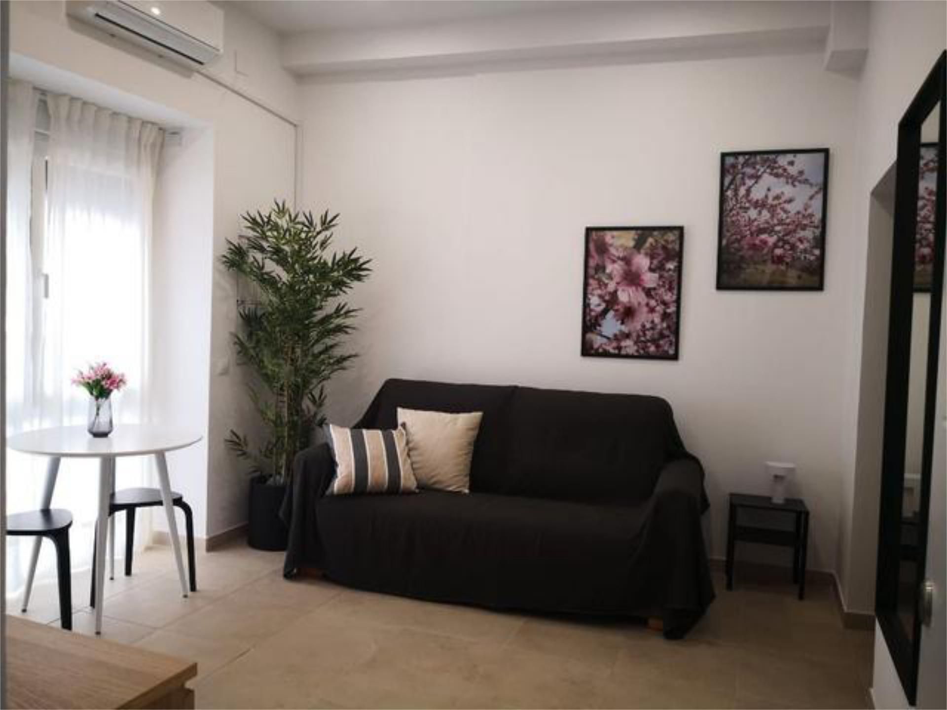 Sala d'estar de Apartament de lloguer en Málaga Capital amb Calefacció i Moblat