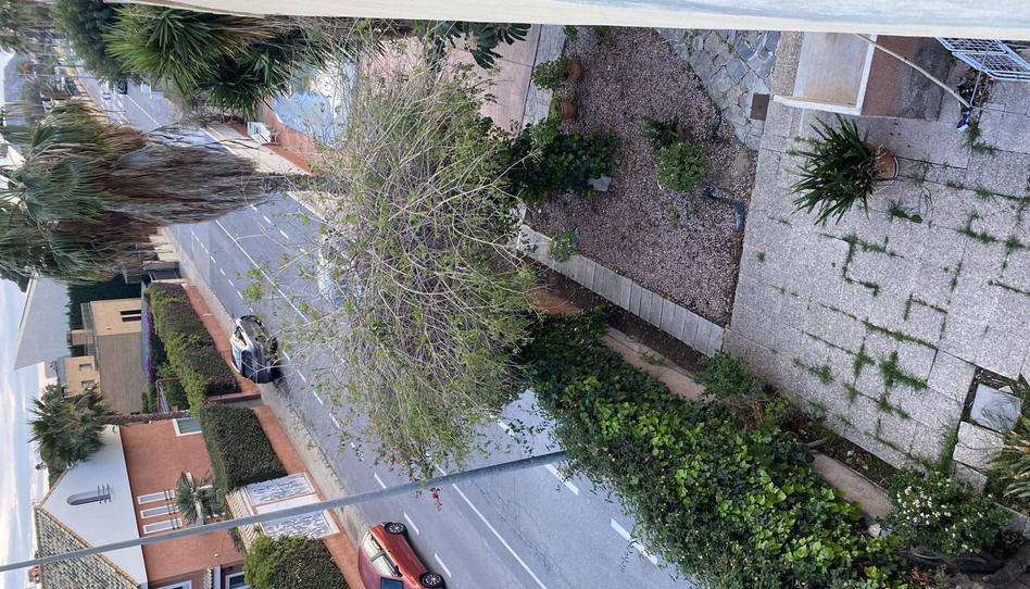 Ático para compartir en Avinguda Novelda, 14, Bellavista - Capiscol - Frank Espinós, Sant Joan d'Alacant - imagen 1 Foto 1 de Ático para compartir en Avinguda Novelda, 14, Bellavista - Capiscol - Frank Espinós, Sant Joan d'Alacant