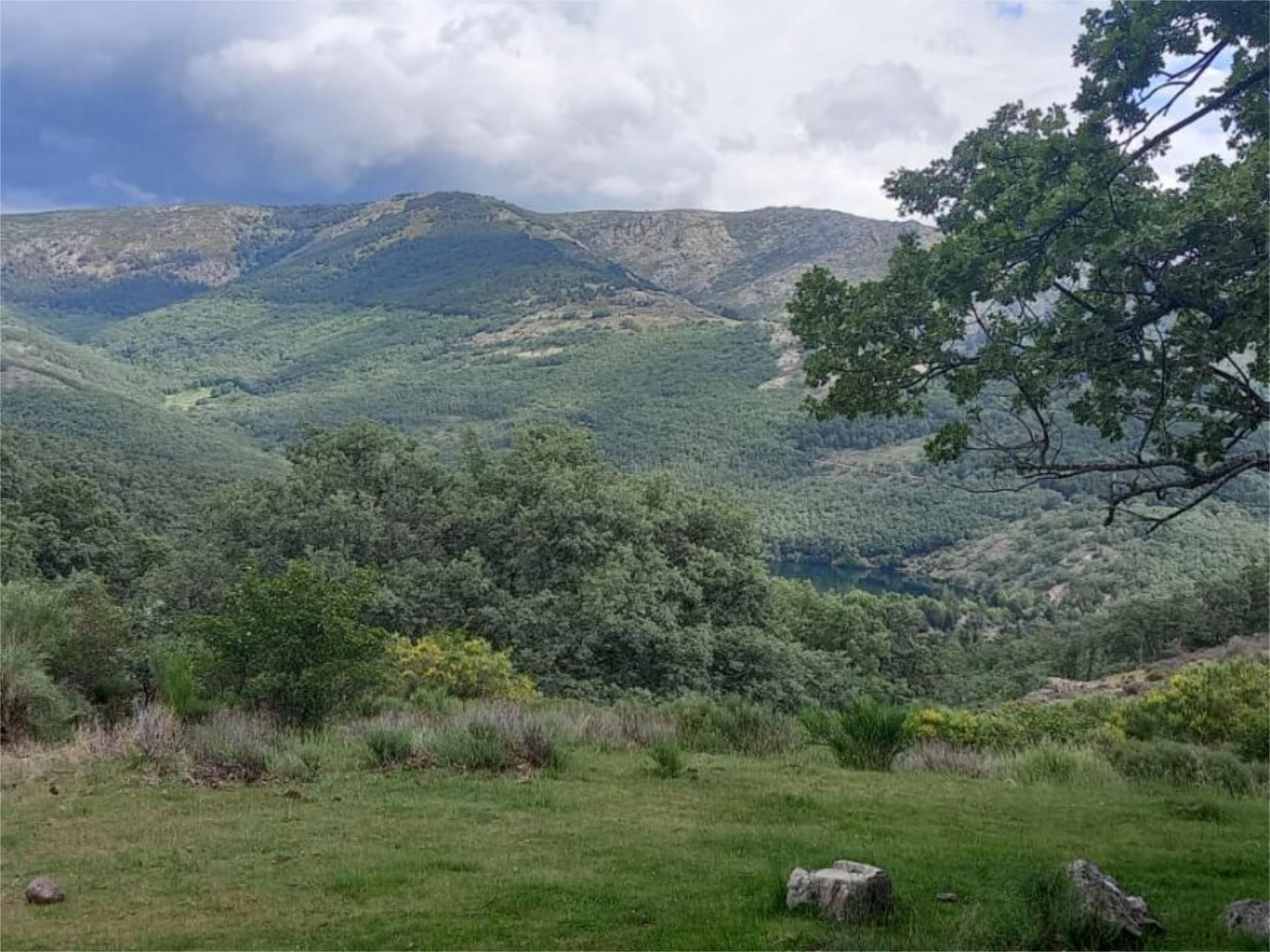 Casa o xalet en venda a Calle Federico García Lorca, 39, Miraflores de la Sierra Casa o xalet en venda en Miraflores de la Sierra amb Aire condicionat i Terrassa