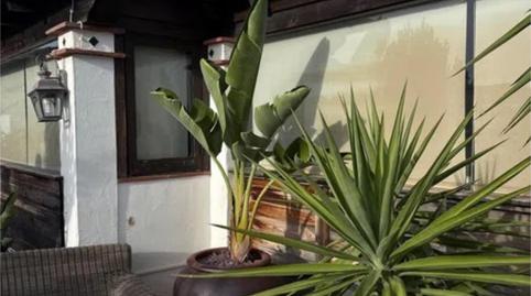 Casa o xalet en venda a Avenida Almanzora, 11, Almuñecar Centro, Almuñécar - imatge 5 Foto 5 de Casa o xalet en venda a Avenida Almanzora, 11, Almuñecar Centro, Almuñécar