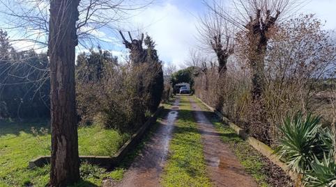 Casa o chalet en venta en Calle Almodóvar, 133, Argamasilla de Calatrava, Ciudad Real - imagen 2 Foto 2 de Casa o chalet en venta en Calle Almodóvar, 133, Argamasilla de Calatrava, Ciudad Real