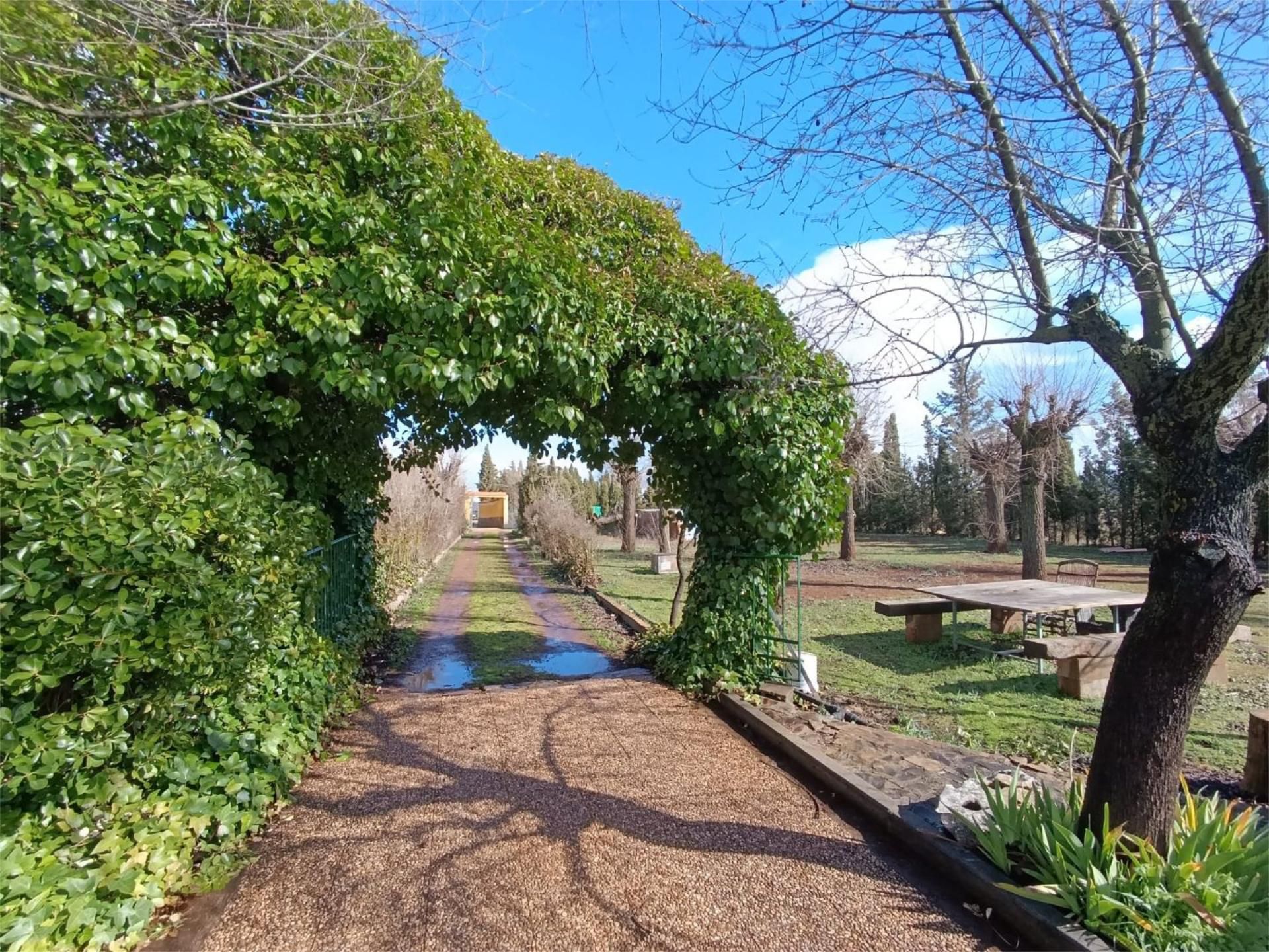 Jardín de Casa o chalet en venta en Argamasilla de Calatrava con Aire acondicionado