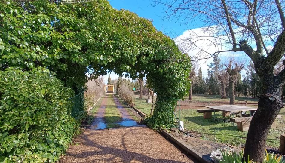 Casa o chalet en venta en Calle Almodóvar, 133, Argamasilla de Calatrava, Ciudad Real - imagen 1 Foto 1 de Casa o chalet en venta en Calle Almodóvar, 133, Argamasilla de Calatrava, Ciudad Real