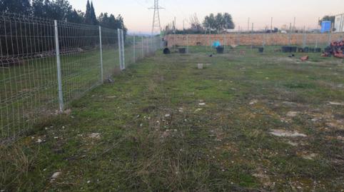 Foto 3 de Finca rústica en venda a Avinguda Avinguda del Cid, 112, Quart de Poblet, Valencia