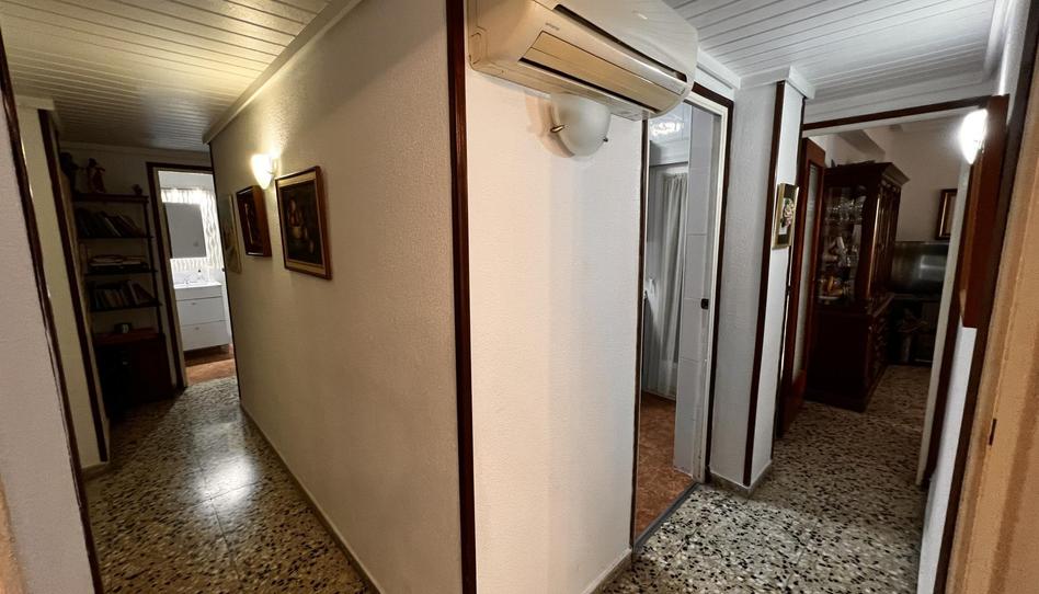 Flat to rent in Carrer Doctor Just, 24, Benalúa, Alicante / Alacant - image 1 Photo 1 of Flat to rent in Carrer Doctor Just, 24, Benalúa, Alicante / Alacant