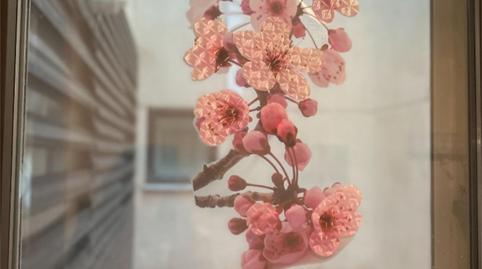 Photo 4 of Flat for sale in Carrer Montserrat, 19, Sant Guim de Freixenet, Lleida