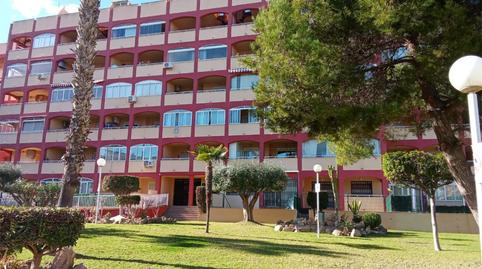 Apartament en venda a Ronda José Samper García, 1, Torreblanca, Torrevieja - imatge 2 Foto 2 de Apartament en venda a Ronda José Samper García, 1, Torreblanca, Torrevieja