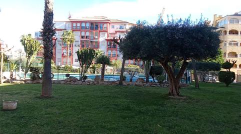 Apartament en venda a Ronda José Samper García, 1, Torreblanca, Torrevieja - imatge 4 Foto 4 de Apartament en venda a Ronda José Samper García, 1, Torreblanca, Torrevieja