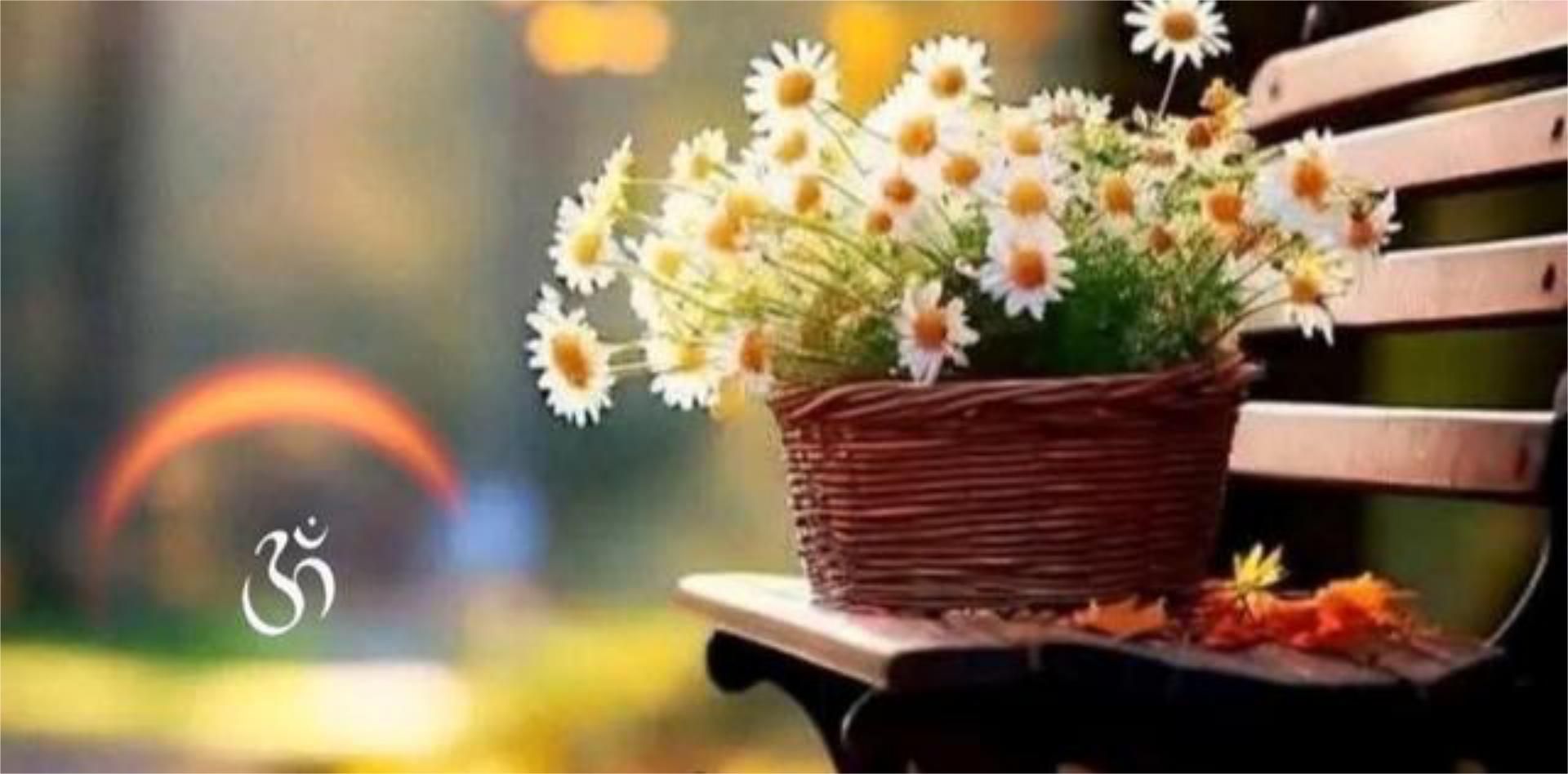 Casa adosada en venda a Moya (Las Palmas) Jardí de Casa adosada en venda en Moya (Las Palmas) amb Terrassa