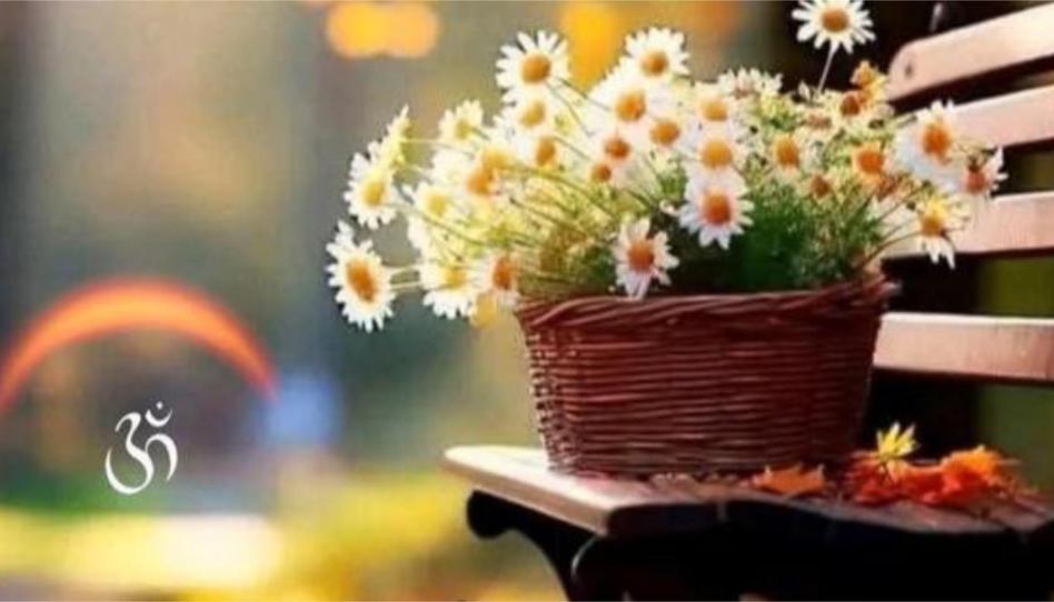 Casa adosada en venda a Moya (Las Palmas), Las Palmas - imatge 1 Foto 1 de Casa adosada en venda a Moya (Las Palmas), Las Palmas