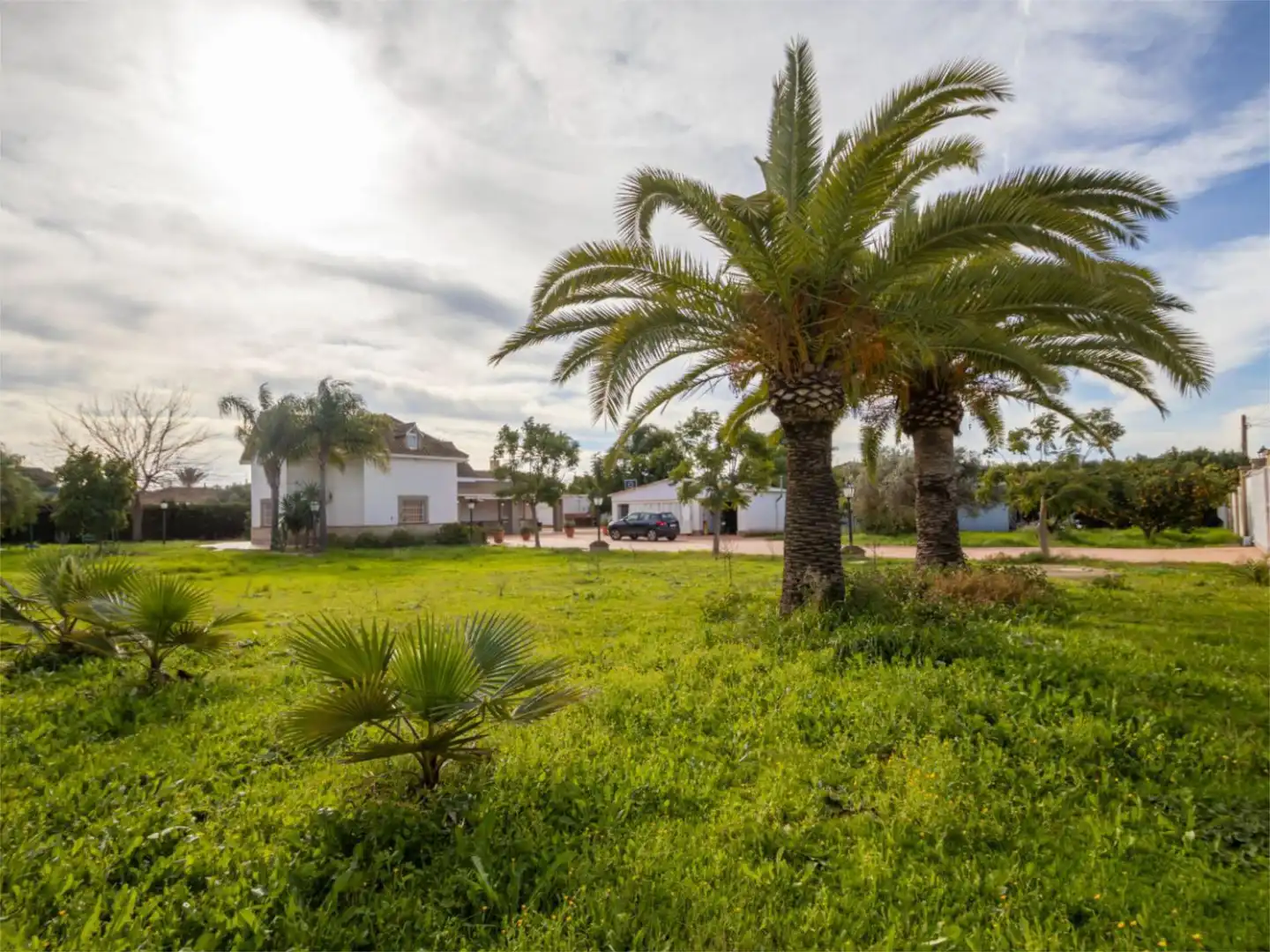 Casa o chalet en venta en Carmona con Aire acondicionado, Calefacción y Jardín privado