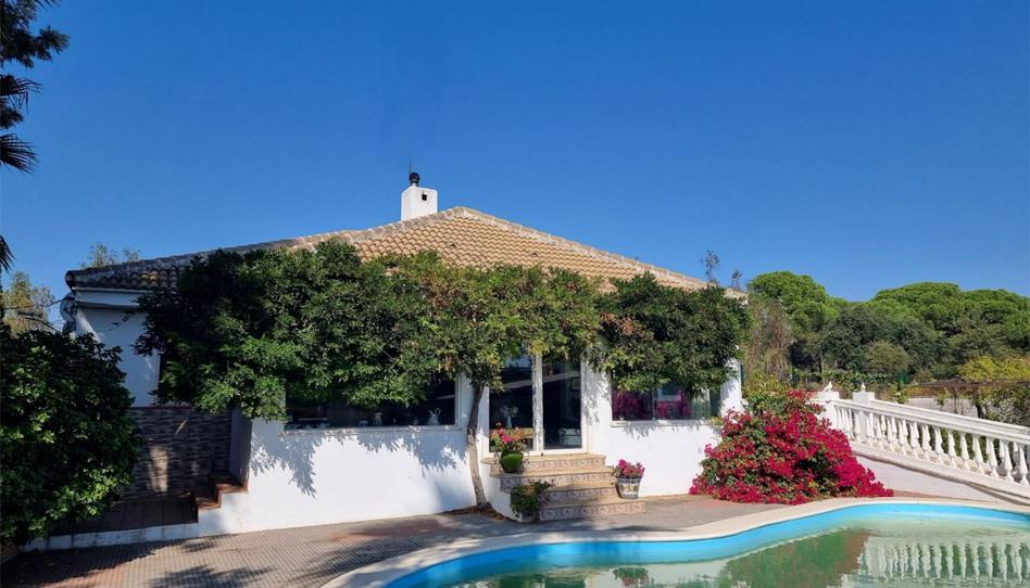 Finca rústica en venta en Camino del Alamillo, 3, Lucena del Puerto, Huelva - imagen 1 Foto 1 de Finca rústica en venta en Camino del Alamillo, 3, Lucena del Puerto, Huelva