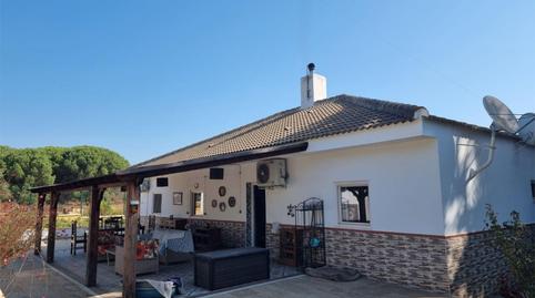 Finca rústica en venta en Camino del Alamillo, 3, Lucena del Puerto, Huelva - imagen 3 Foto 3 de Finca rústica en venta en Camino del Alamillo, 3, Lucena del Puerto, Huelva