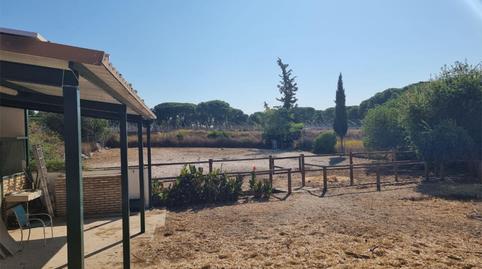 Finca rústica en venta en Camino del Alamillo, 3, Lucena del Puerto, Huelva - imagen 4 Foto 4 de Finca rústica en venta en Camino del Alamillo, 3, Lucena del Puerto, Huelva