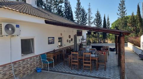 Finca rústica en venta en Camino del Alamillo, 3, Lucena del Puerto, Huelva - imagen 3 Foto 3 de Finca rústica en venta en Camino del Alamillo, 3, Lucena del Puerto, Huelva