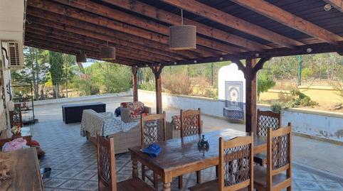 Finca rústica en venta en Camino del Alamillo, 3, Lucena del Puerto, Huelva - imagen 5 Foto 5 de Finca rústica en venta en Camino del Alamillo, 3, Lucena del Puerto, Huelva