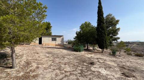 Foto 4 de Finca rústica en venta en Calle Cordel de Los Valencianos, 2, Los Valientes, Molina de Segura