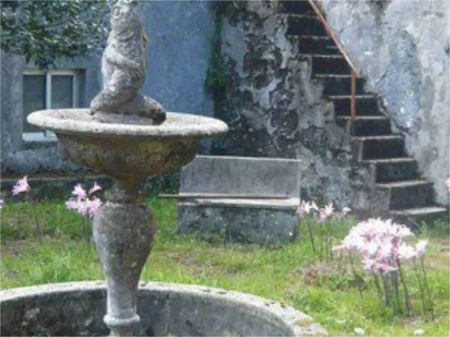 Casa o xalet en venda a Rúa Alfredo González Barro, 8, Forcarei Jardí de Casa o xalet en venda en Forcarei amb Jardí privat, Terrassa i Piscina