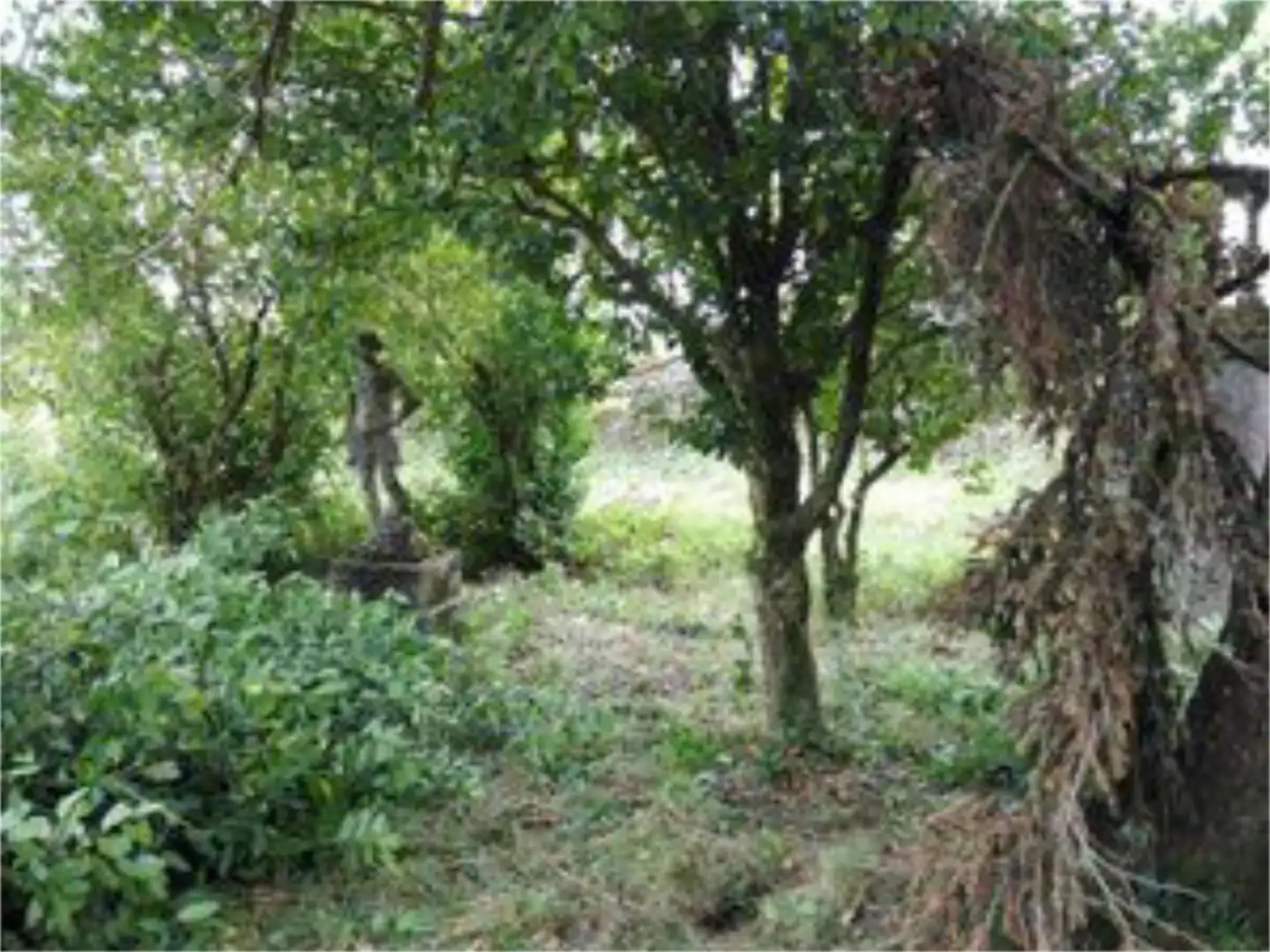 Casa o xalet en venda a Rúa Alfredo González Barro, 8, Forcarei Casa o xalet en venda en Forcarei amb Jardí privat, Terrassa i Piscina