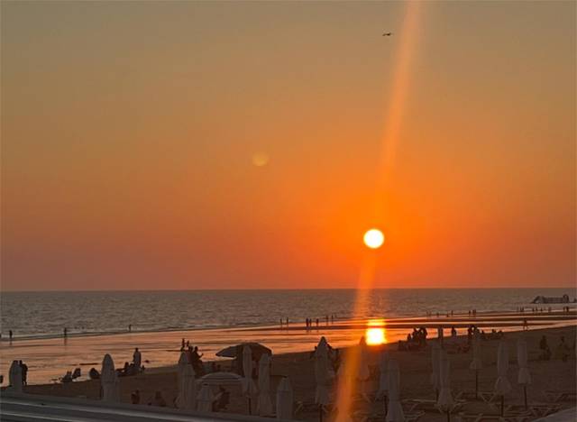 Casa-chalet en Alquiler en Sector E, 14 en Golf - Torre Almenara