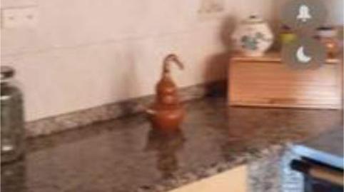 Foto 4 de Casa o chalet de alquiler en Coles, Ourense