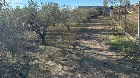 Casa adosada en venda a Avinguda de L'illa de Buda, 100, Sant Jaume d'Enveja, Tarragona - imatge 3 Foto 3 de Casa adosada en venda a Avinguda de L'illa de Buda, 100, Sant Jaume d'Enveja, Tarragona