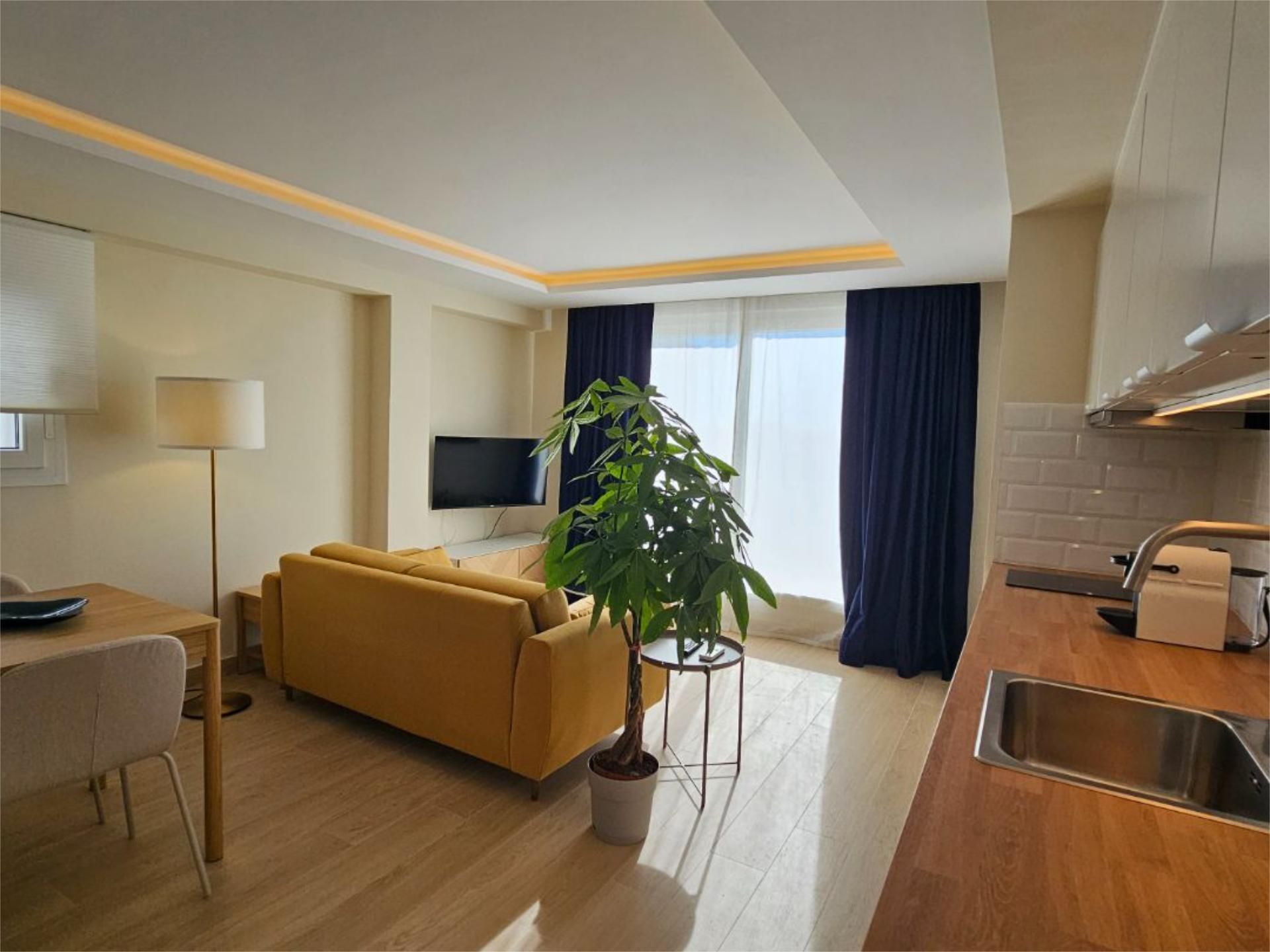 Living room of Attic to rent in Málaga Capital  with Air Conditioner, Terrace and Furnished