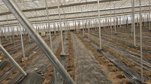 Foto 3 de Finca rústica en venda a Avenida Buenos Aires, 12, Santo Domingo, El Ejido