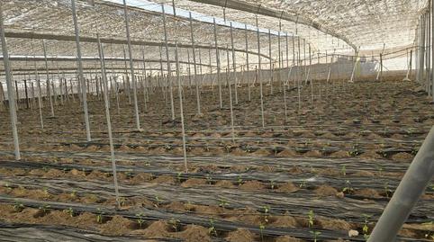 Foto 5 de Finca rústica en venda a Avenida Buenos Aires, 12, Santo Domingo, El Ejido