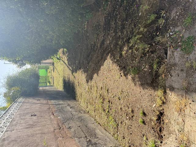 Terreno en Venta en Calle la Pedrera, 10-b en Tacoronte - Los Naranjeros