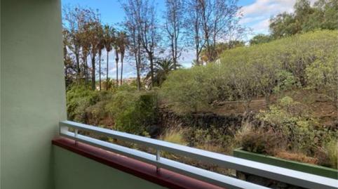 Photo 2 of Flat to rent in San Antonio - Las Arenas, Puerto de la Cruz