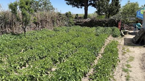 Photo 3 of Country house for sale in Desconocido, 25, Campodón - Ventorro del Cano, Alcorcón