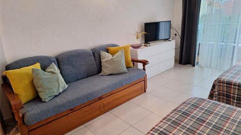 Estudi de lloguer a Zona Martiánez, Puerto de la Cruz - imatge 5 Foto 5 de Estudi de lloguer a Zona Martiánez, Puerto de la Cruz