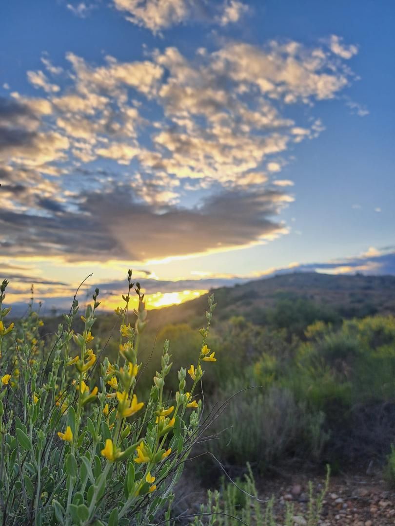 Exterior view of Duplex to share in Molina de Segura  with Air Conditioner, Heating and Parquet flooring