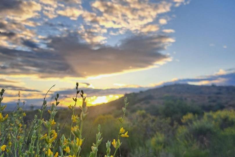 Duplex to share in Calle Gonzalo Duarte, 10, Ribera de Molina - Torrealta, Molina de Segura - image 1 Photo 1 of Duplex to share in Calle Gonzalo Duarte, 10, Ribera de Molina - Torrealta, Molina de Segura