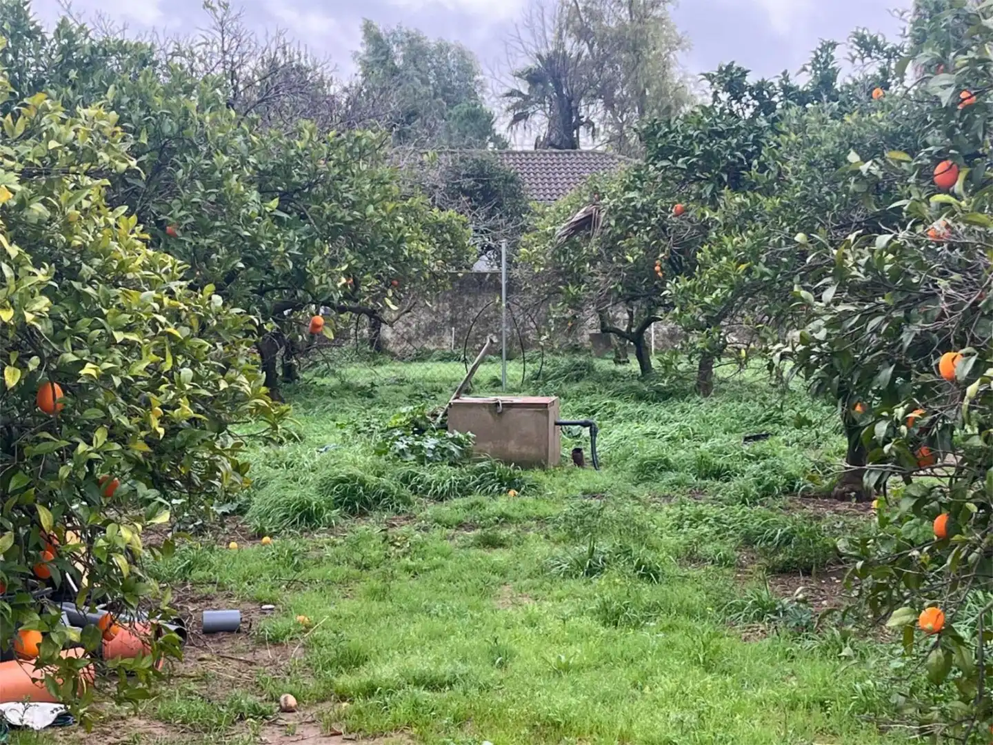 Finca rústica en venda a Calle Cuartel, 2, Alcolea Finca rústica en venda en Córdoba amb Jardí privat