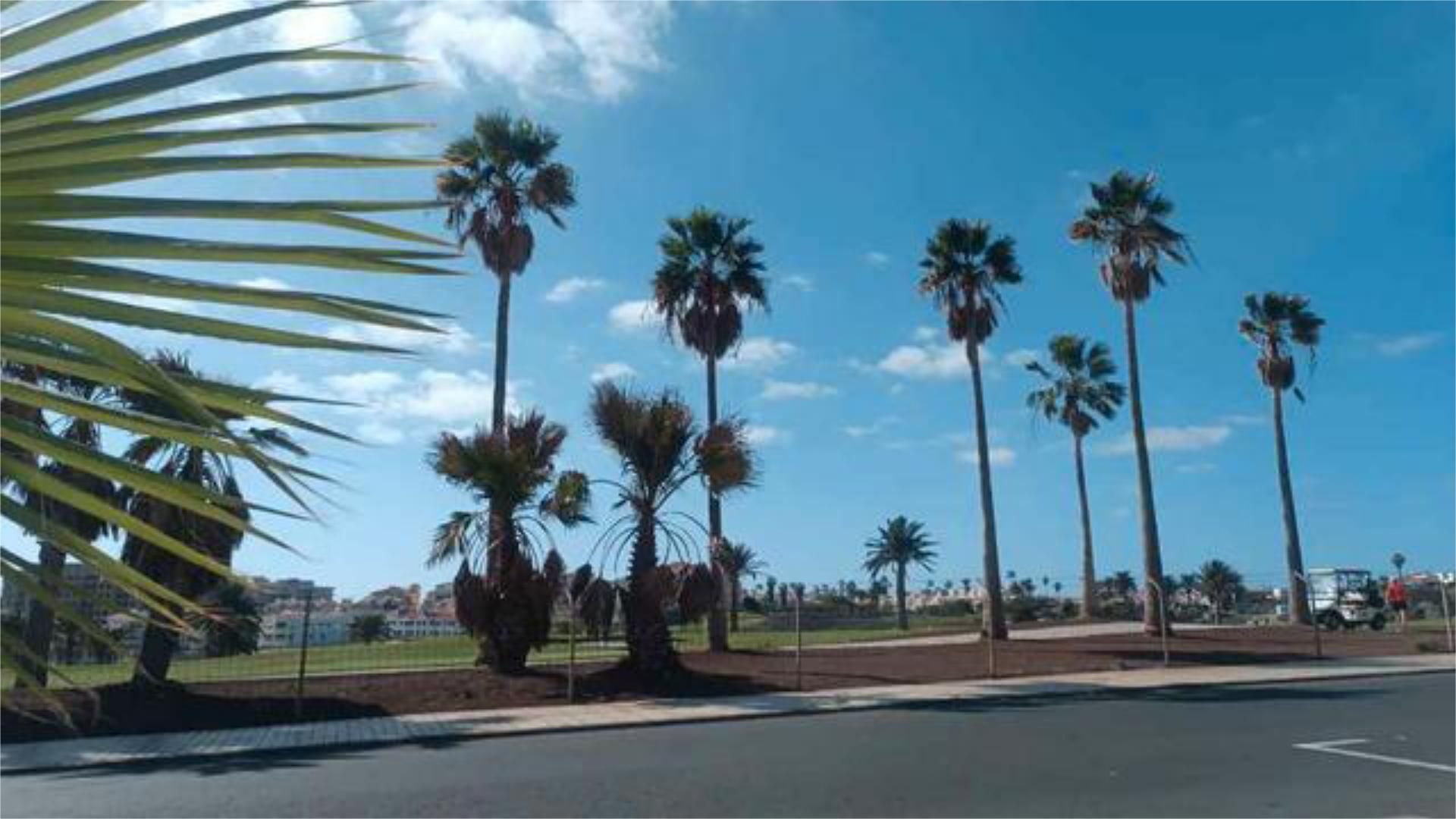 Vista exterior de Pis de lloguer en San Miguel de Abona amb Terrassa i Moblat