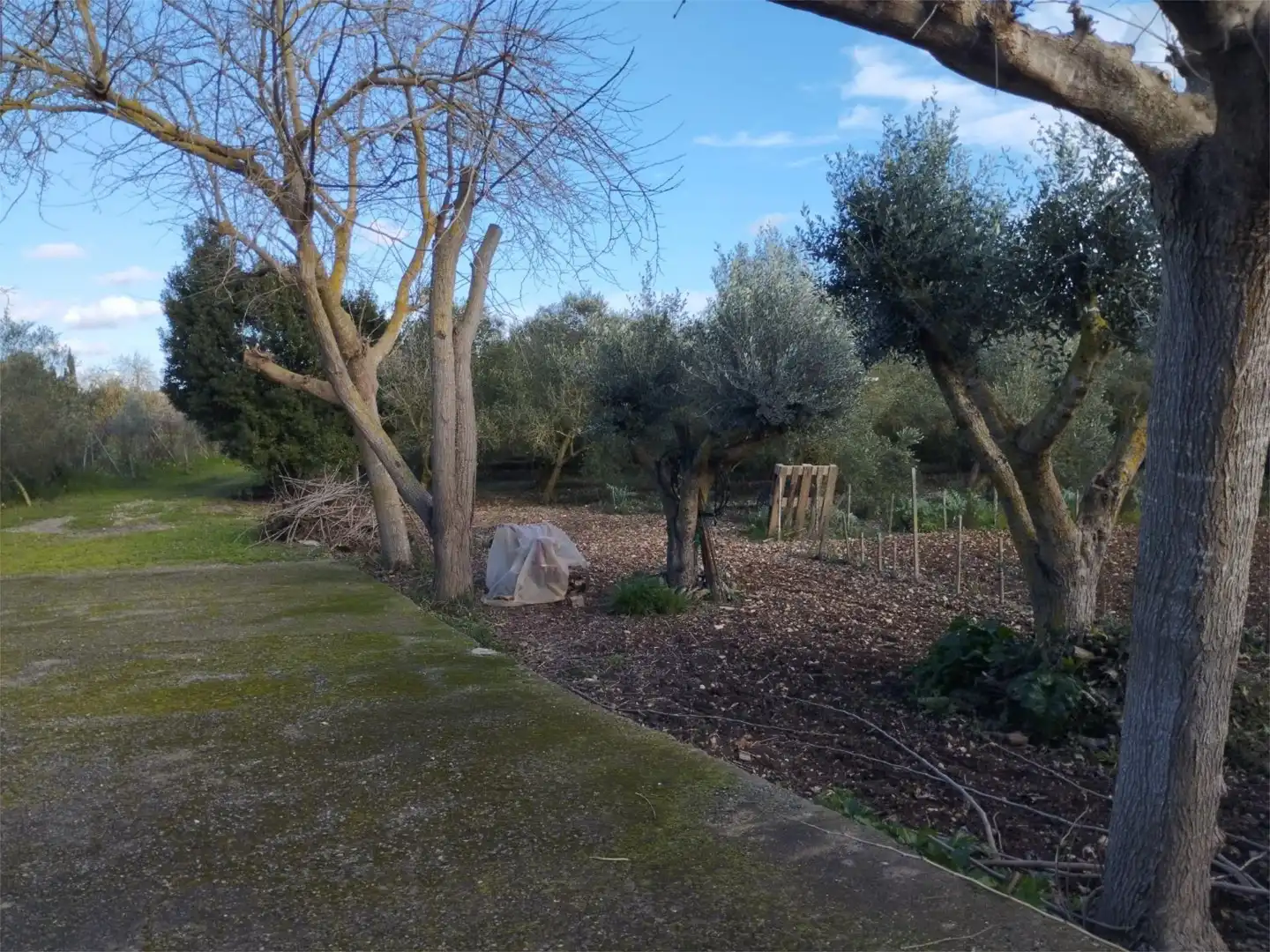 Flat for sale in Sant Llorenç des Cardassar