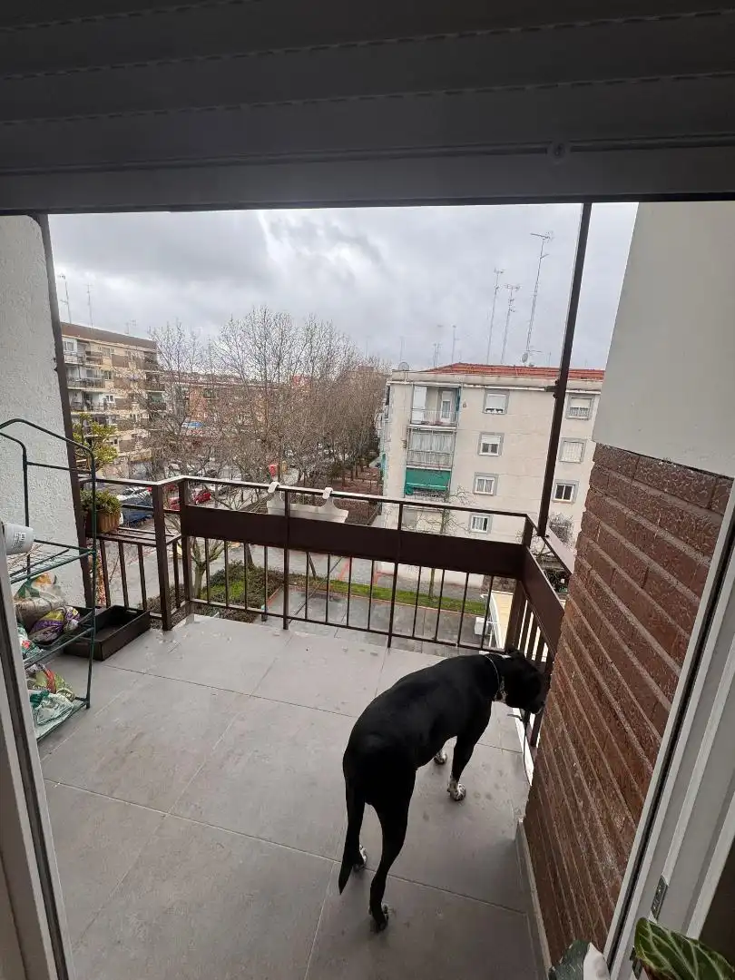 Room in Calle Princesa, 27, Zona Renfe Balcony of Flat for share in Alcorcón with Heating, Terrace and Oven