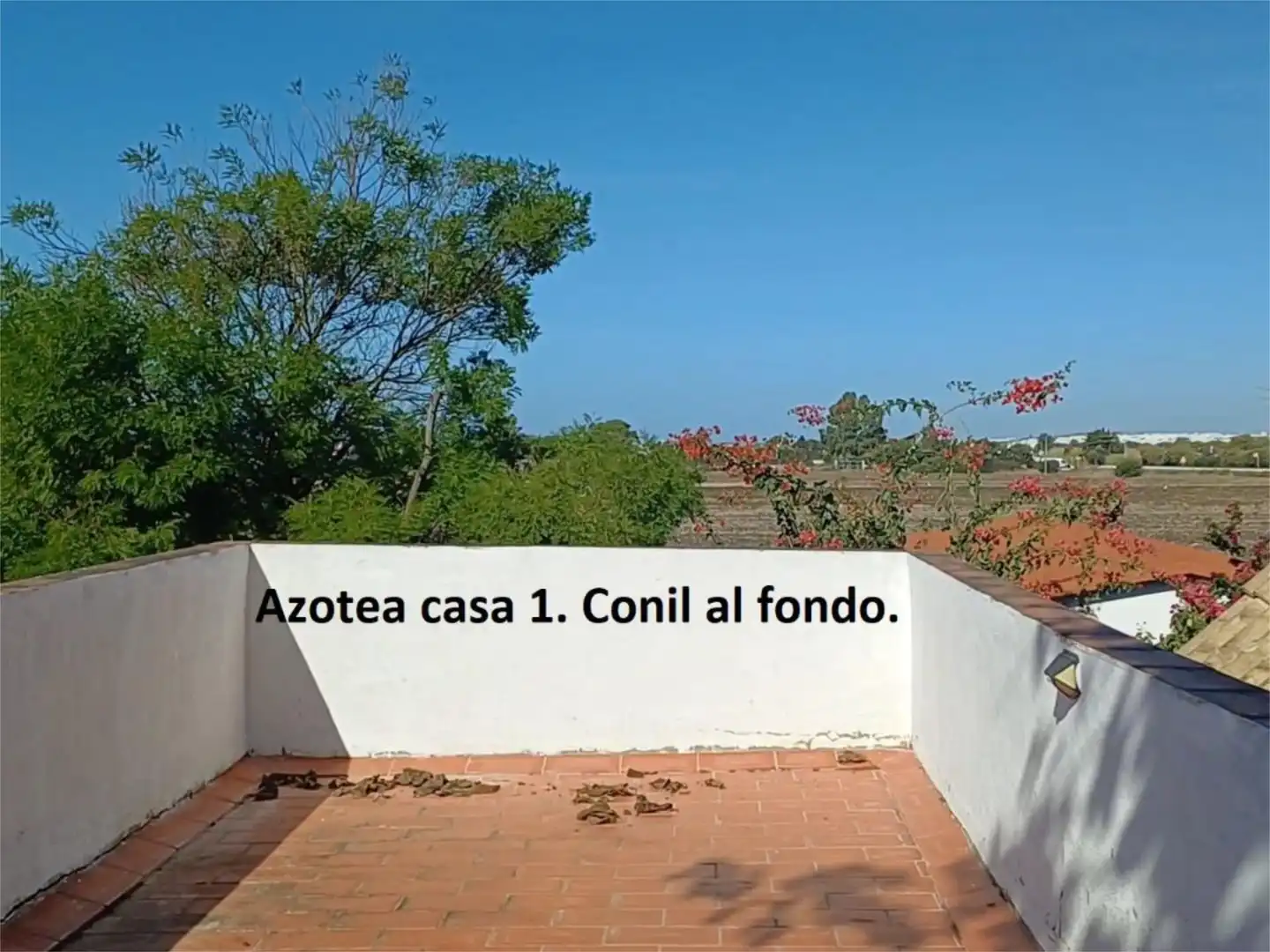 Wohnung zum Verkauf in Camino de Guerrero, 56, El Palmar Garten von Wohnung zum Verkauf in Vejer de la Frontera mit Privatgarten, Terrasse und Abstellraum