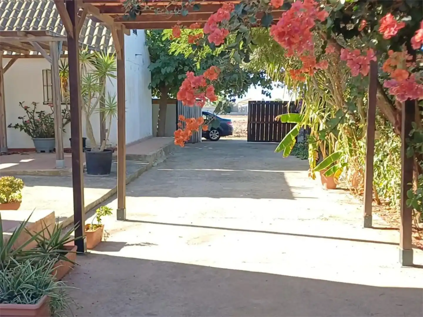 Wohnung zum Verkauf in Camino de Guerrero, 56, El Palmar Außenansicht von Wohnung zum Verkauf in Vejer de la Frontera mit Privatgarten, Terrasse und Abstellraum