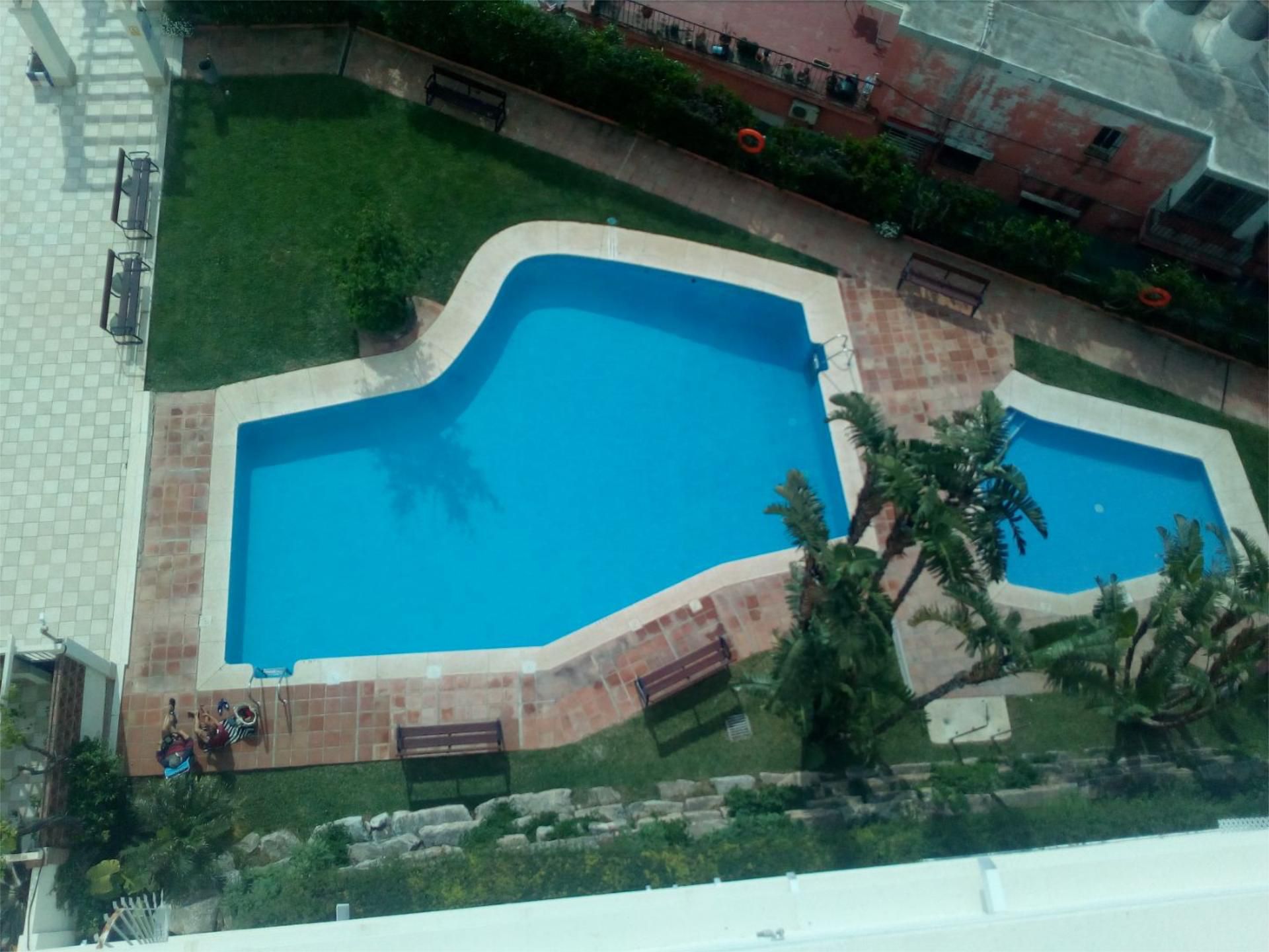 Swimming pool of Flat to share in Marbella  with Terrace, Swimming Pool and Furnished