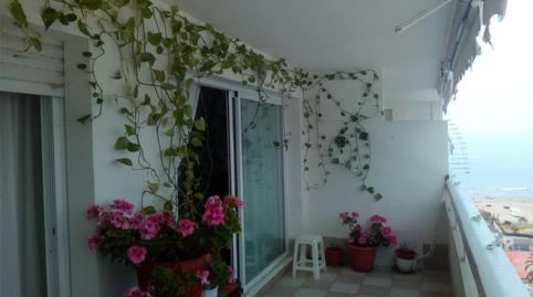 Flat to share in Calle Fragua, 3, Los Jardines de Marbella - La Ermita, Marbella - image 2 Photo 2 of Flat to share in Calle Fragua, 3, Los Jardines de Marbella - La Ermita, Marbella