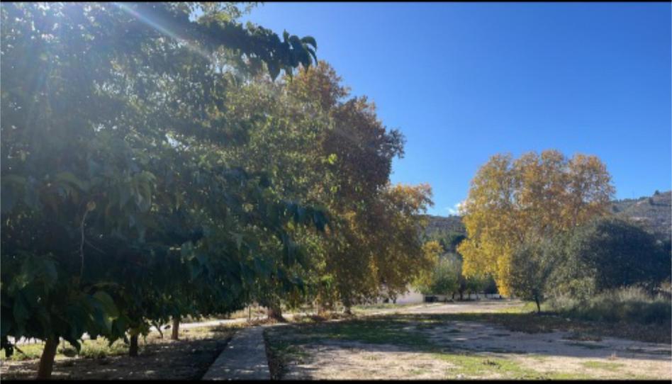 Flat for sale in Calle Puente, 3, La Recueja, Albacete - image 1 Photo 1 of Flat for sale in Calle Puente, 3, La Recueja, Albacete