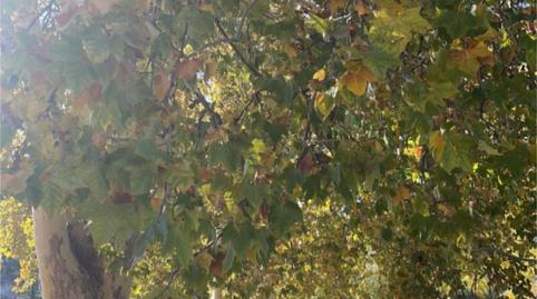 Flat for sale in Calle Puente, 3, La Recueja, Albacete - image 3 Photo 3 of Flat for sale in Calle Puente, 3, La Recueja, Albacete