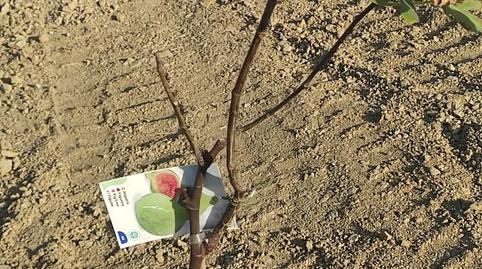 Photo 2 of Country house for sale in Avenida de la Estación, 13, Arroyo de la Miel, Benalmádena