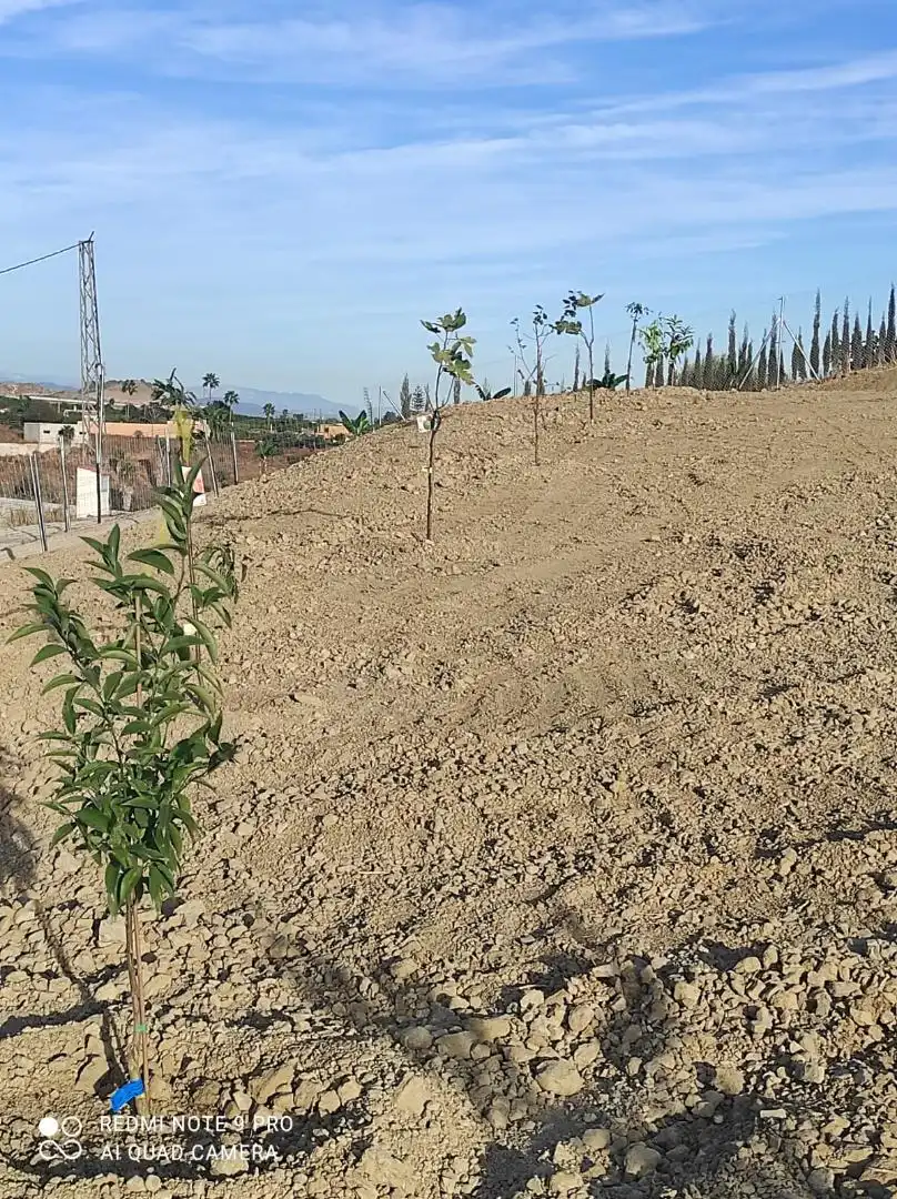Finca rústica en venta en Avenida de la Estación, 13, Arroyo de la Miel Finca rústica en venta en Benalmádena