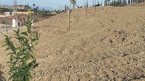 Photo 5 of Country house for sale in Avenida de la Estación, 13, Arroyo de la Miel, Benalmádena