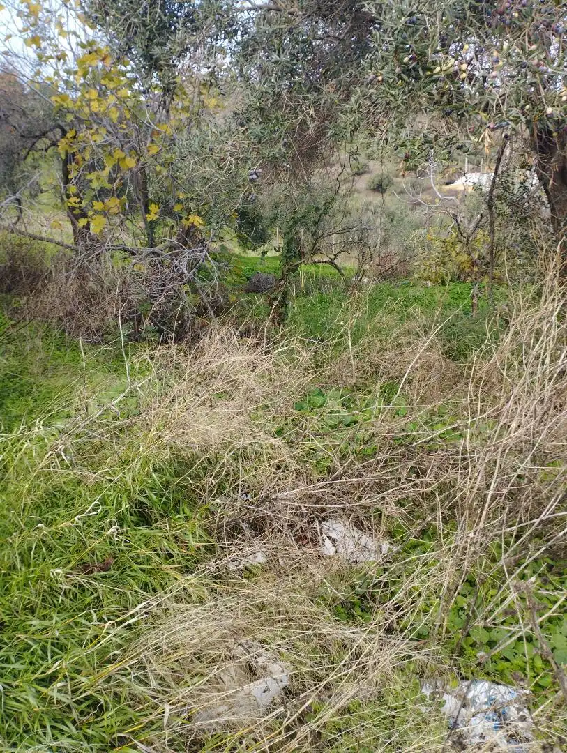 Terreno en venta en Barriada Estación de las Mellizas, Álora Terreno en venta en Álora