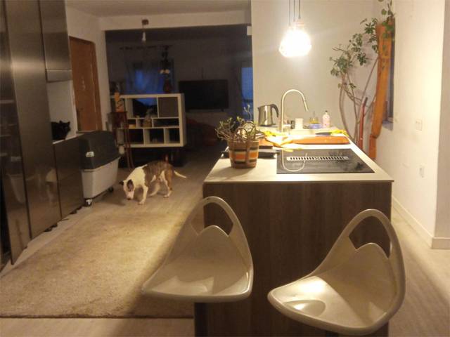 Piso en Venta en Calle Doña Urraca, 7 en La Vega - La Sal